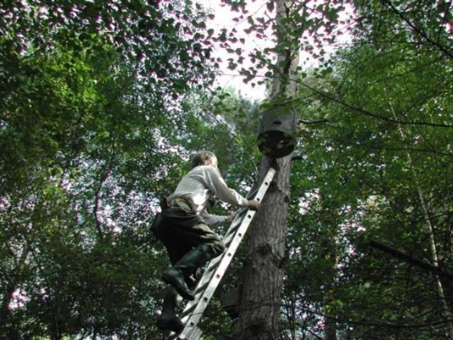 bat box check bat box check
