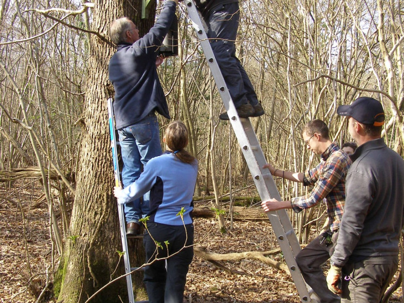 farthings wood farthings wood