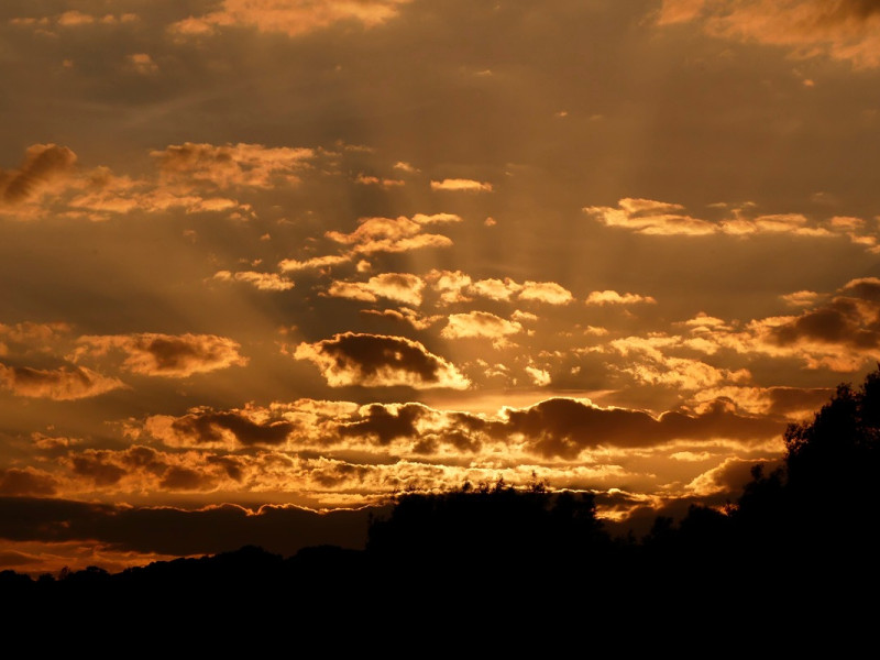 sunset sunset